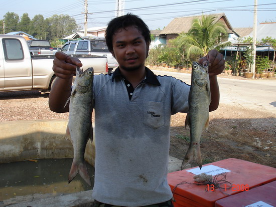 น้าท่านนี้....มองหมายขาดครับ.....ซัดไปหลาย  :laughing: