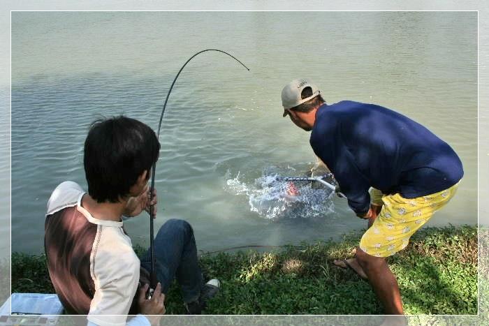 มามะ   มามะ   เข้าสวิงซะโดยดี   :laughing:   :laughing