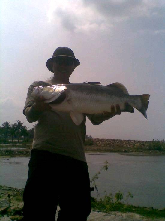 เทศกาลกระพงขาวที่ปัตตานี