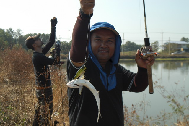 น้าตุ้ม (เขาชะเมา)

โอ้ย.... ไม่ยอม ผมเป็นคนตีเรียกปลามา แต่ น้าโบ๊ท น้าอู๋ เก็บเรียบ

กว่า จะได