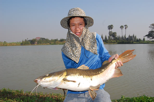 อ้าว หล่อกันเข้าปาย  :laughing:  :laughing: