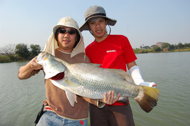 มาดูกระพงกันบ้างดีกั่ว   :blush:  :blush: 