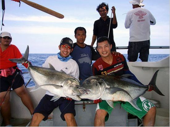 กลางวันจอดเรือตีpopper  หาเหยื่อpopขนาดส