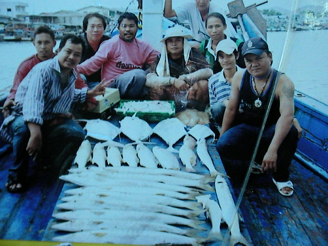 ทริปหมายใน บางเสล่