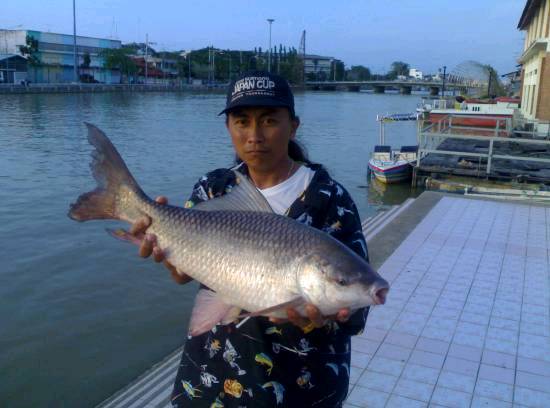   สามภาพหลังเป็นปลาที่ได้ในวันแรกครับ  ตามลำดับ