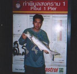 
ปลากุเลาของผมคร๊าบบบ.... :laughing: :laughing: :laughing:




