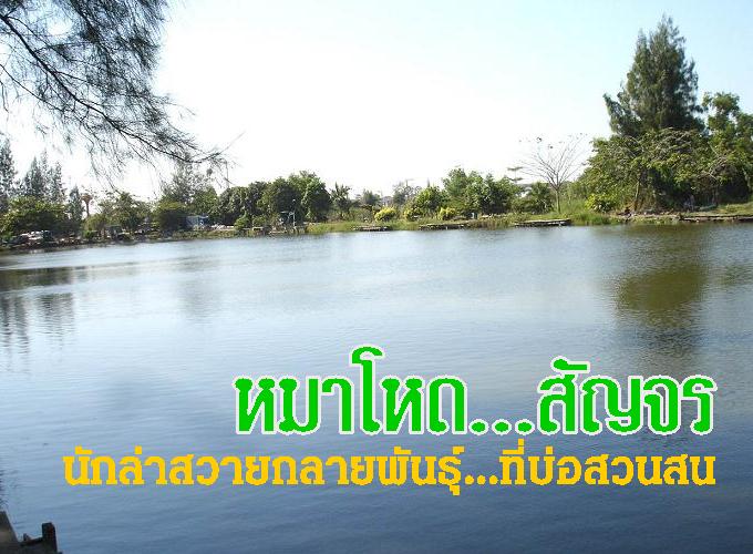  :love: :love: :love:  :blush: :blush: :blush:  :love: :love: :love:

บ่อตกปลาสวนสน ถนนสุวินทวงศ์ 