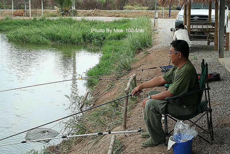 น้าเต่าก็พยามยามอดใจไว้ นั่งติดเก้าอี้..แบบว่าหลิวอย่างเดียว