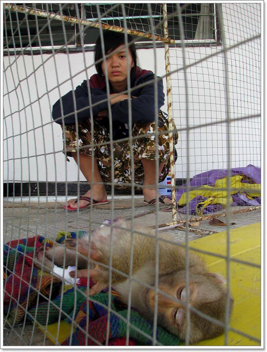เราเฝ้ารอดูอาการ จากการตอบสนองในช่วงแรกๆ หลังจากฉีดยาเพิ่มวิตามินไปแล้ว 