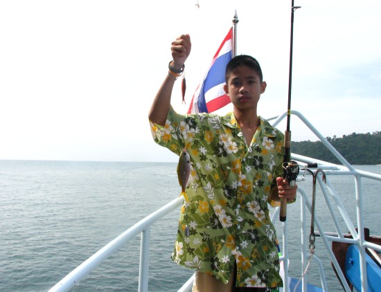 ป๊าขึ้นมาด่วนเลยมัยมันตัวเล็กจังอะ


ผม แปบนึงนะ