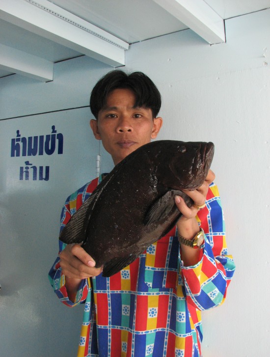 ปลายืม :laughing: :laughing: :laughing: