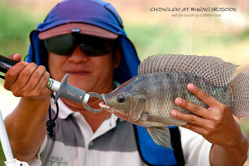 พอยี่สกเริ่มห่างตัว พวกเราก็ช่วยกันสอยปลานิลไซด์ 2 ตัวโลขึ้นมากันเป็นว่าเล่นครับ เยอะจริงๆ  :cheer:
