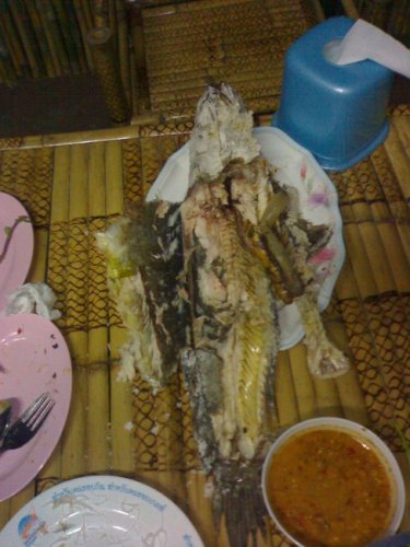 แปลสภาพแย้ว :umh: :umh: :umh: