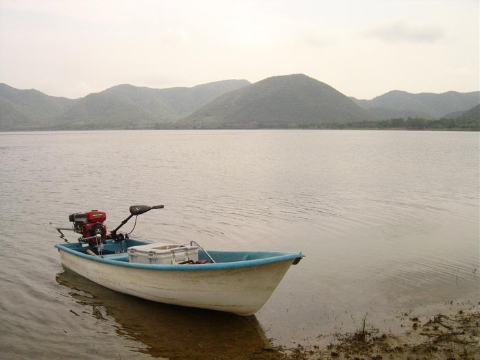 ปล่อยเจ้าแจ๊คลงเรือปุ๊บ!!!......ก็แอบเอาเรือมาจอดอีกมุมหนึ่ง...
ยืนตีเหยื่อไปเรื่อยๆ.... [b]น้ำตื่น