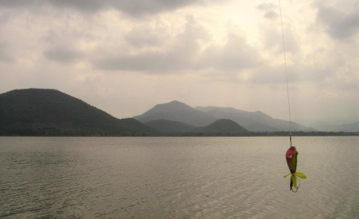 หลังจากนั้นก็ล่องเรือตีเหยื่อไปเรื่อยๆ.....กะว่าจะไปรับน้าแจ๊คกลับบ้าน............แล้วก็......
 :sm