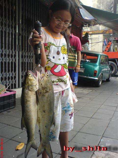 ให้ถือปลา...แค่นี้ทำหน้า   :laughing: