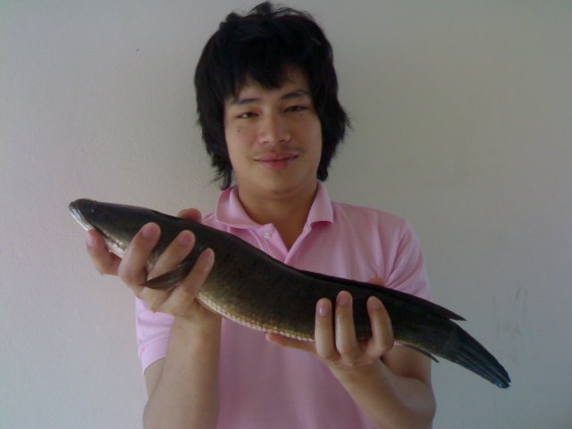 แนะนำตัวคับ
สมาชิกเด็กขอน
แก่นคับ วันหลังชวน
ข่อยนำแน่เด้อน้าtv fishing