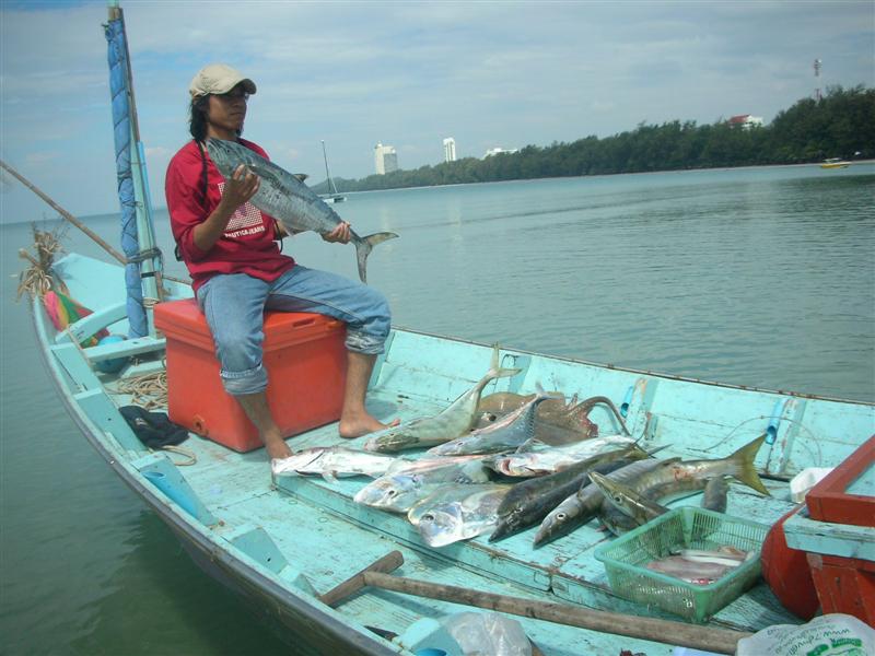 รูปสุดท้ายแล้วครับ รูปนี้ไปแอบถ่าย ปลารวมของเรือไต๋เล็ก ที่จอดตกข้างๆกันครับ ได้เยอะกว่าลำผมอีก อิอิ