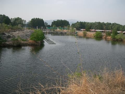  [q]ว่าแล้วทำไมเรือวิ่งช้า มีน้า MR.FISHINGMAN แอบเกาะขอบเรือไปด้วยนี่เอง :laughing: :laughing: :lau