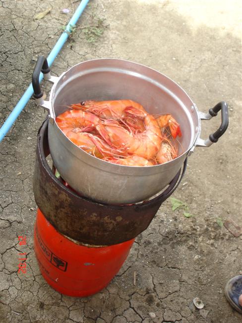 ได้มา สามโลกว่าๆ แบ่ง กันคนละตัว สองตัว...
     งั่มๆๆ แจ๊บๆๆ....
            
         โส้ดดดด ส