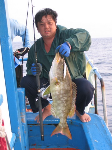 นี่หุ้นขึ้นทันที แล้วก้อจิ๊กกันอุตลุต