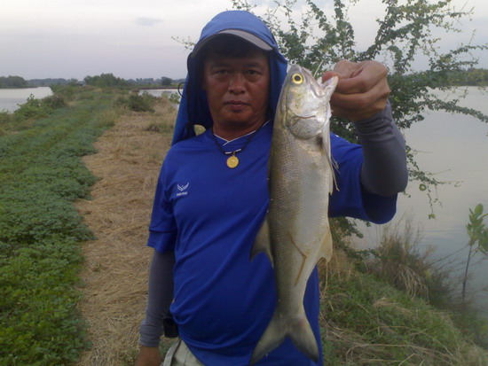 กับมาจากกินข้าว ก็มาลุยกันต่อเลยครับต่างคนต่างเข้าหมาย :grin: :grin: