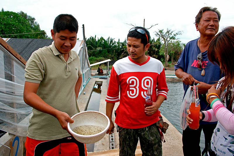 
ซ้ายสุด " คุณต้อม " เจ้าของฟาร์มออกมาต้อนรับ

อ้อ คนที่ใส่เสื้อม่อฮ่อม ทางขวามือนั่น อาจารย์อ้วน