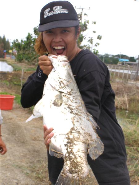 โปรลาดกระบัง เอาไปหล่อ 1 ภาพ  :laughing: :laughing: 