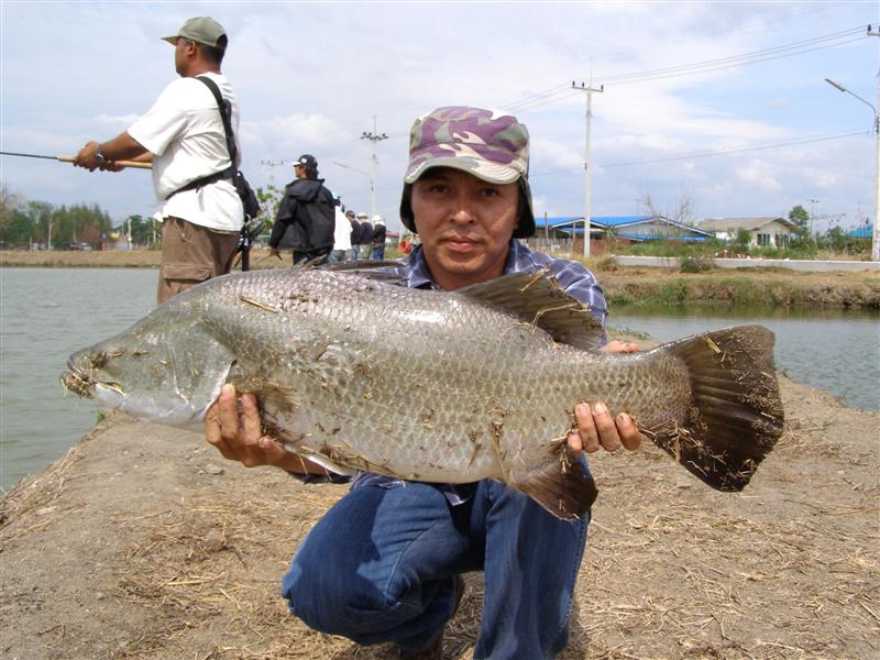 รำไร รำไร หล่อเลยงานนี้ ยืมตีทั่วบ่