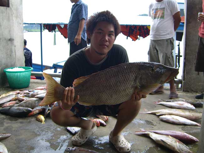 ภาพน้องปู ขอถ่ายมั่งครับ   :tongue: :tongue: