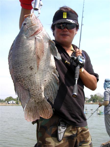  [q]ถ้าผมจำไม่ผิดสาย 10 lbได้ 9 ตัว แต่  สาย