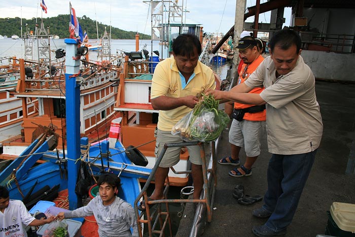 พี่ลือมาช่วยขนของลงเรือด้วย........
ผม----แล้วพี่ลือเรือออกเมื่อไหร่ครับ
พี่ลือ--พรุ้งนี้นะอ๊อด
ผ