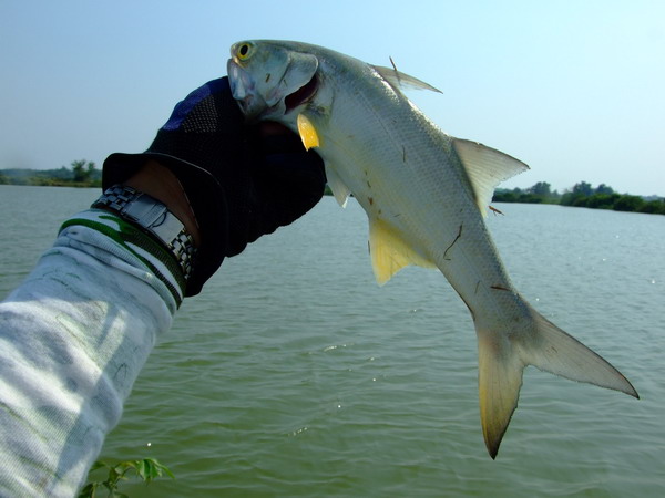 น้าโน้ตเริ่มค้อนแล้ววุ้ย ตกข้างกันดันกินแต่คันสะปิ๋ว  :spineyes: