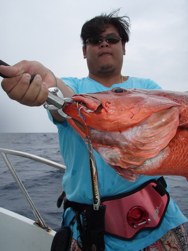 เอ้าดูเหยื่อกันซักๆนา 
Jigging lure ของพี่ไ