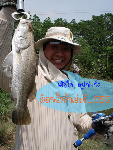 ประวัติศาสตร์ซ้ำรอย

ฮิ้ววววว

จัดไปสักรูป

 :laughing: :laughing: :laughing: