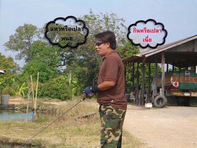 อีกท่านนึงที่ขาดไม่ได้เรย พี่กูล กุเรา"ยืม"(kseedsound) ที่ตาม
เข้ามา [b]ปล่อยไก่[/b] ด้วยเหมือนกัน