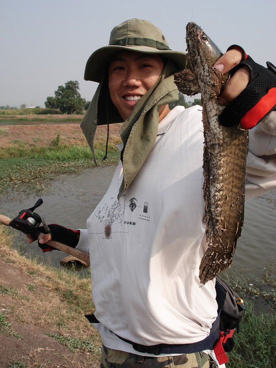 เห้ยยย...........!! โน๊ต  [b]ปินเบท[/b] หุ้นขึ้นอ่ะ :love: มีฝูงเข้าด้วยแห๊ะ :laughing:

เพิ่มไซส์