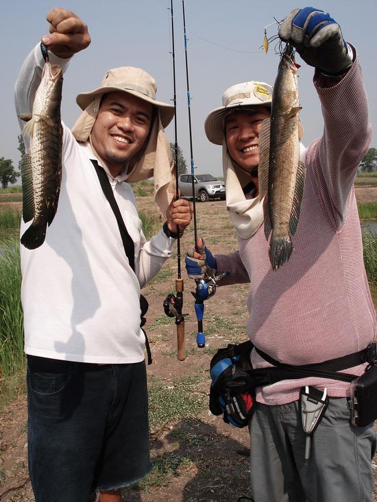 นัวเนียกันอยู่ตุบตั๊บๆ ได้กันมาอีกหลายหน่วย สบายท้องมื้อ
เที่ยงกันล่ะค้าบงานนี้ :love: :love: :chee