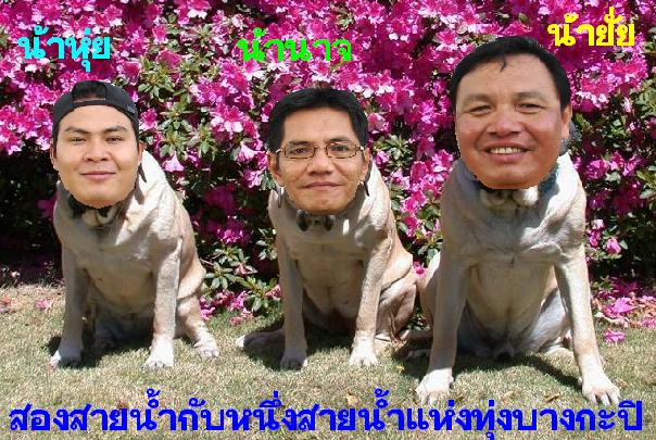  :cheer: :cheer: :cheer:

...ขอแนะนำกลุ่มแรก "สองสายน้ำกับหนึ่งสายน้ำแห่งทุ่งบางกะปิ" ...
...กลุ่