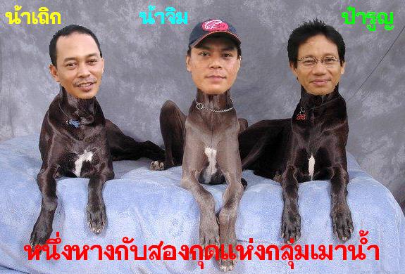  :cheer: :cheer: :cheer:

...กลุ่มถัดมา หมายมั่นปั้นเหยื่อสู่ชัยชนะในครั้งนี้ เพื่อลบล้างความอับอา