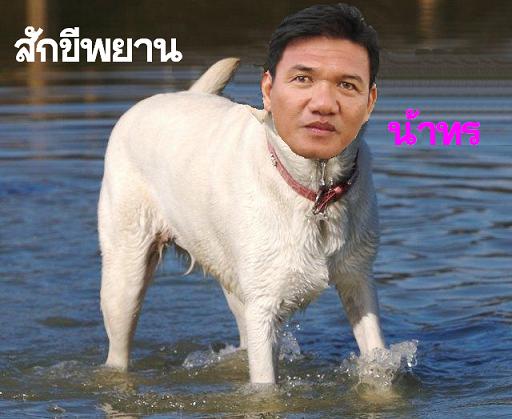  :cheer: :cheer: :cheer:

...ที่จะขาดไปเสียไม่ได้เลยในการกรำศึกครั้งนี้ก็คือ ผู้ชี้ขาด...

...อส