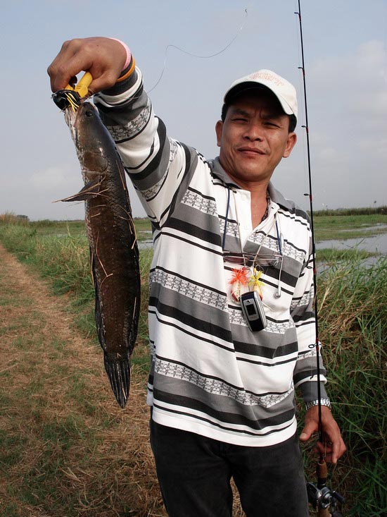 พี่เล็กอยู่ข้างๆกันดัง ต๊าปปปปป....!! แร้วพี่เล็กก้อปั่นยิกๆๆๆๆๆๆๆ
ของถนัดเค้าล่ะ เสร็จโจรไปอีกตัว 