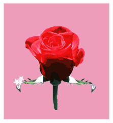 ป้าจูนหน้ารักเนอะๆน้ากูล :love: :love: :love: