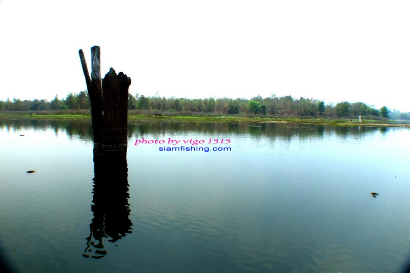 บรรยากาศยามบ่ายๆร้อนครับ :spineyes: