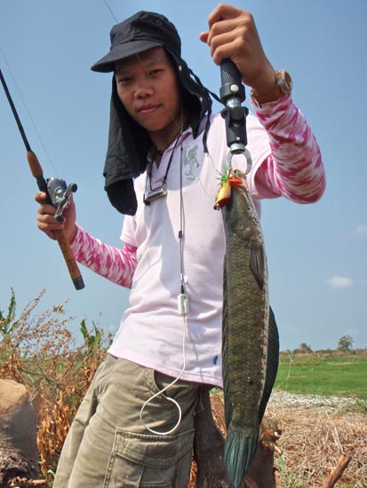 สู้ปลา ยื้อยุด ฉุดดึง อยู่ท่ามกลางเ