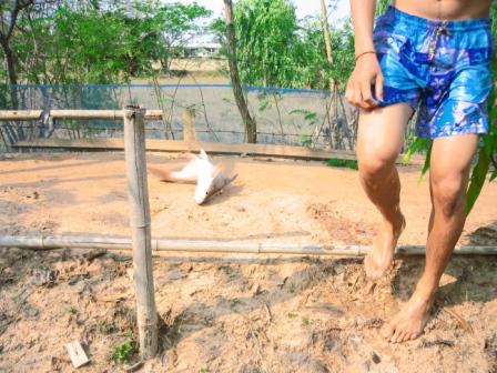 ลงน้ำไปแต่โดยดี :laughing:
