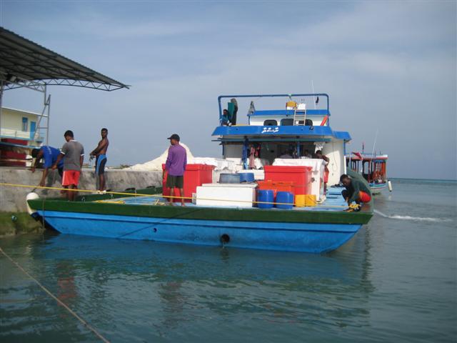 แวะเกาะข้างๆ...เป็นที่จอดเรือประมง....ไต๋บอกจะไปหาปลาทำเหยื่อ....ไม่ได้ครับ...หมด