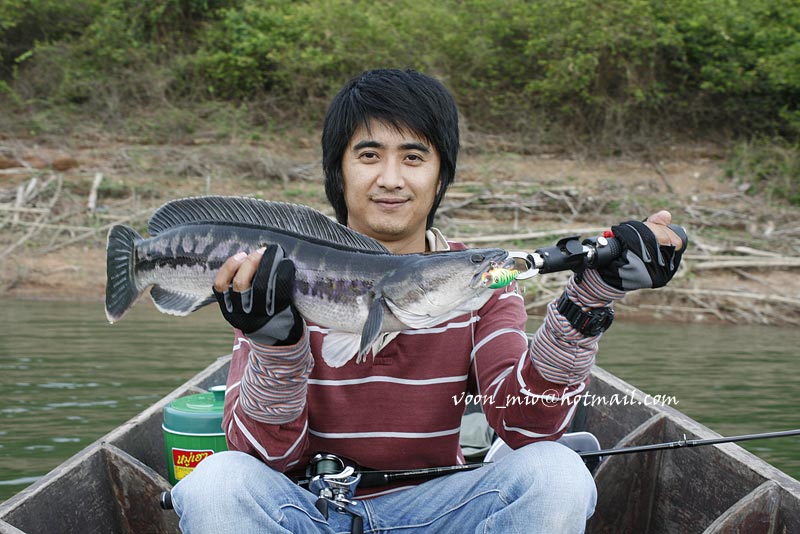 แล้วก็เสร็จโผม :laughing: :laughing:ตัวนี้เกือบเ
