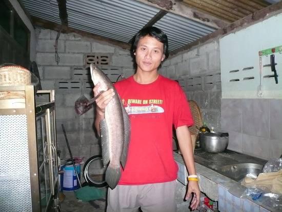 แจ่มมมม