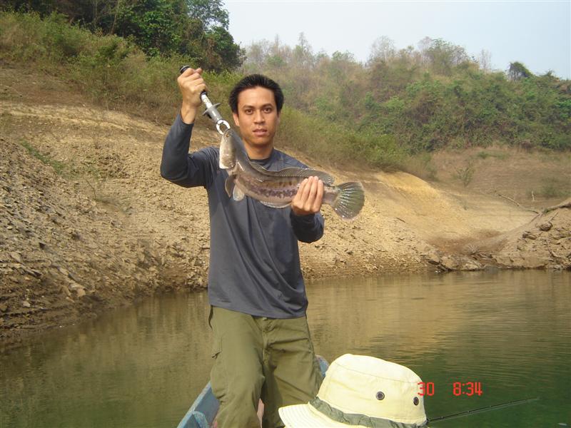 เทพคลองไพร  ( ต้องเชื่อเขาเลย )  ปลาชะโดเนี๊ย....หมายไหนๆก็สั่งได้จริงๆ